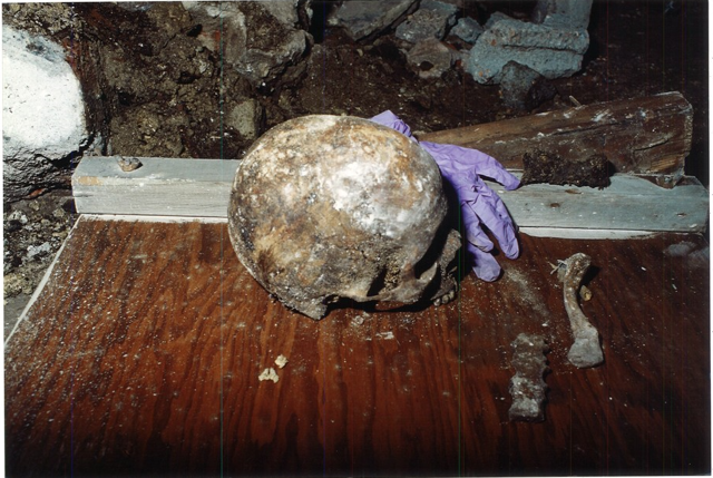 One of New York's biggest cold cases is a step closer to being solved – thanks to dogged detective work, and DNA from a 9/11 victim 7