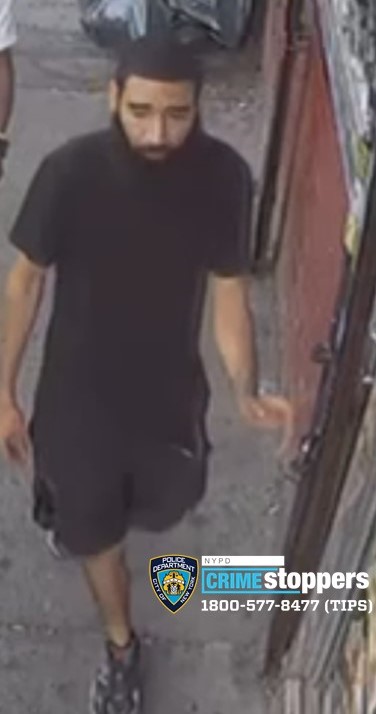 Bronx dognapper sought for stealing a 'Precious' pit bull from outside bodega 3