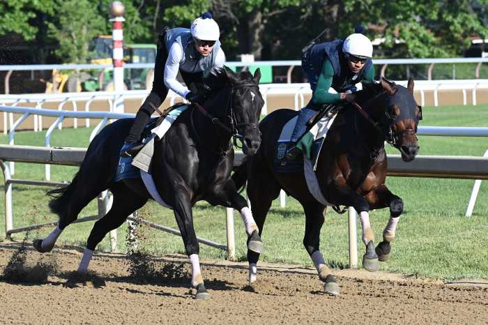 Belmont Stakes 2024 betting odds and predictions: Mystik Dan and Seize the Grey face off against tough field in Saratoga 2 two horses training ahead of the Belmont Stakes