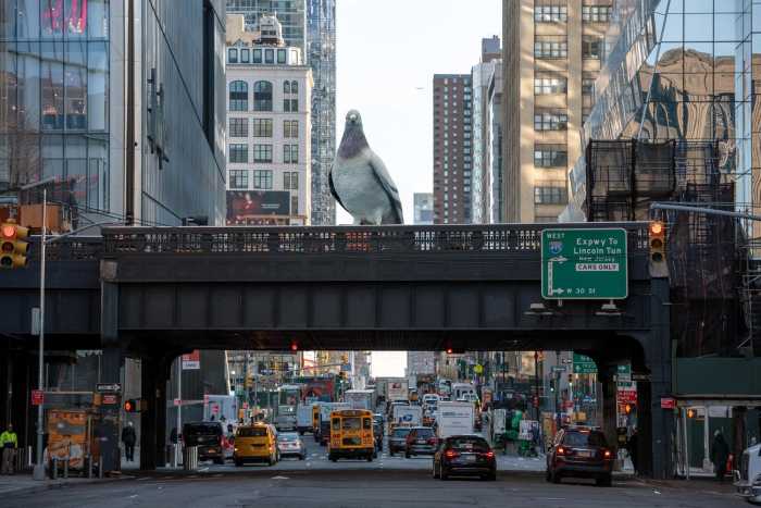 A 21-foot-tall pigeon is coming to the High Line in October 8 21-Foot Pigeon Sculpture Coming to High Line