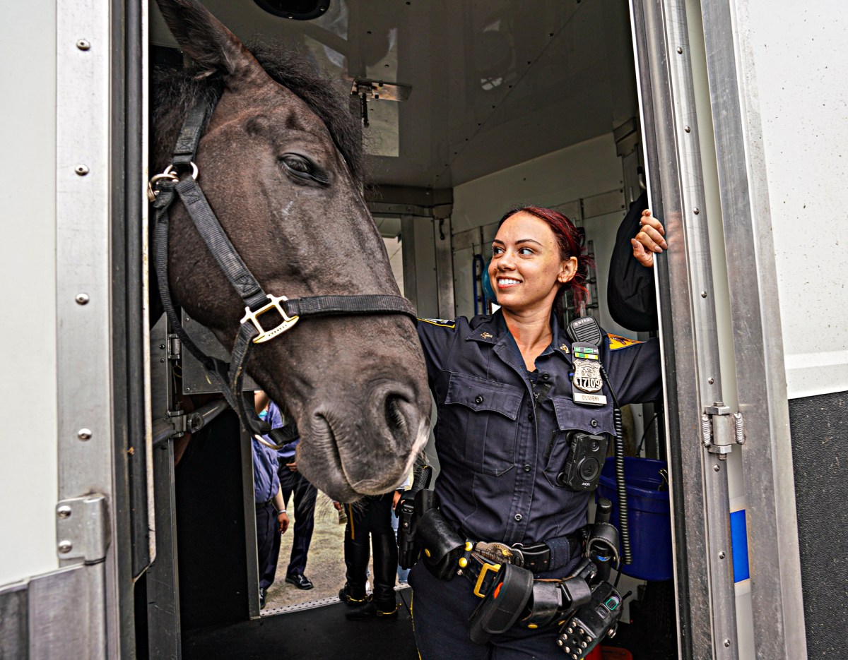 Career day at the Queens police academy brings 1,000 NYPD interns in for a look at job options 2