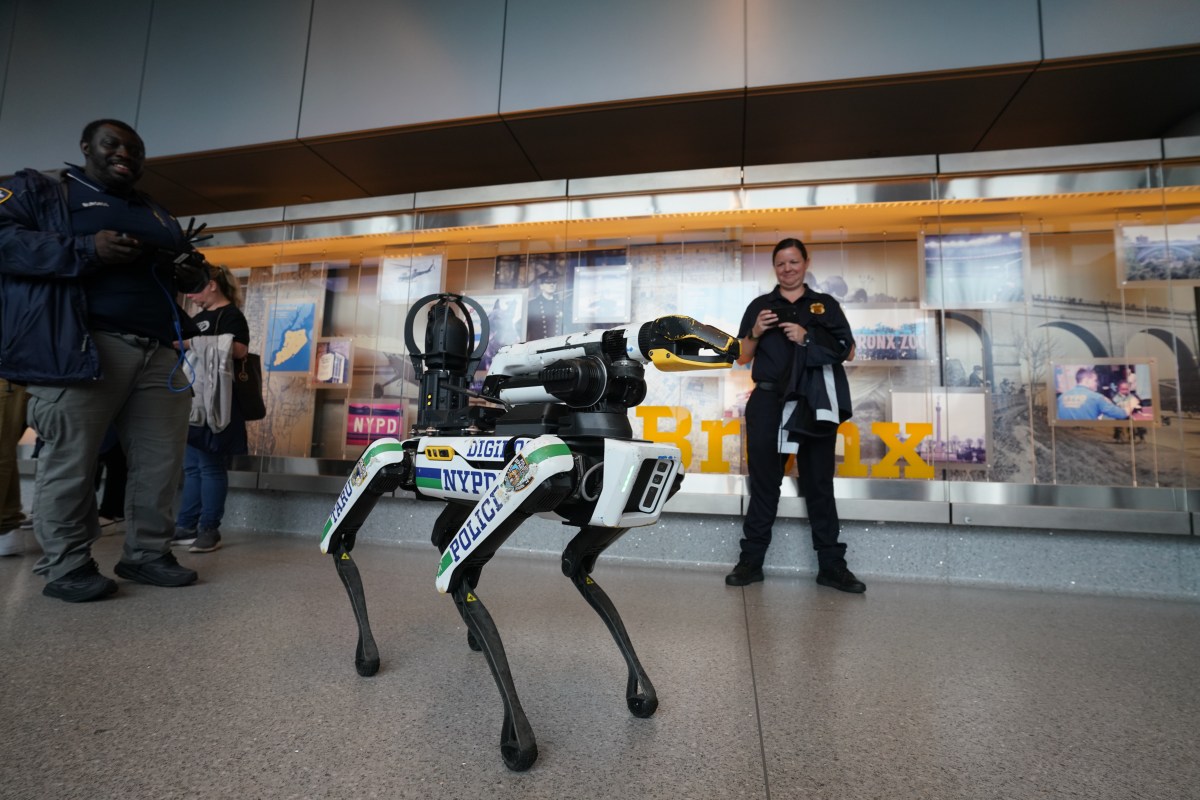 Career day at the Queens police academy brings 1,000 NYPD interns in for a look at job options 5