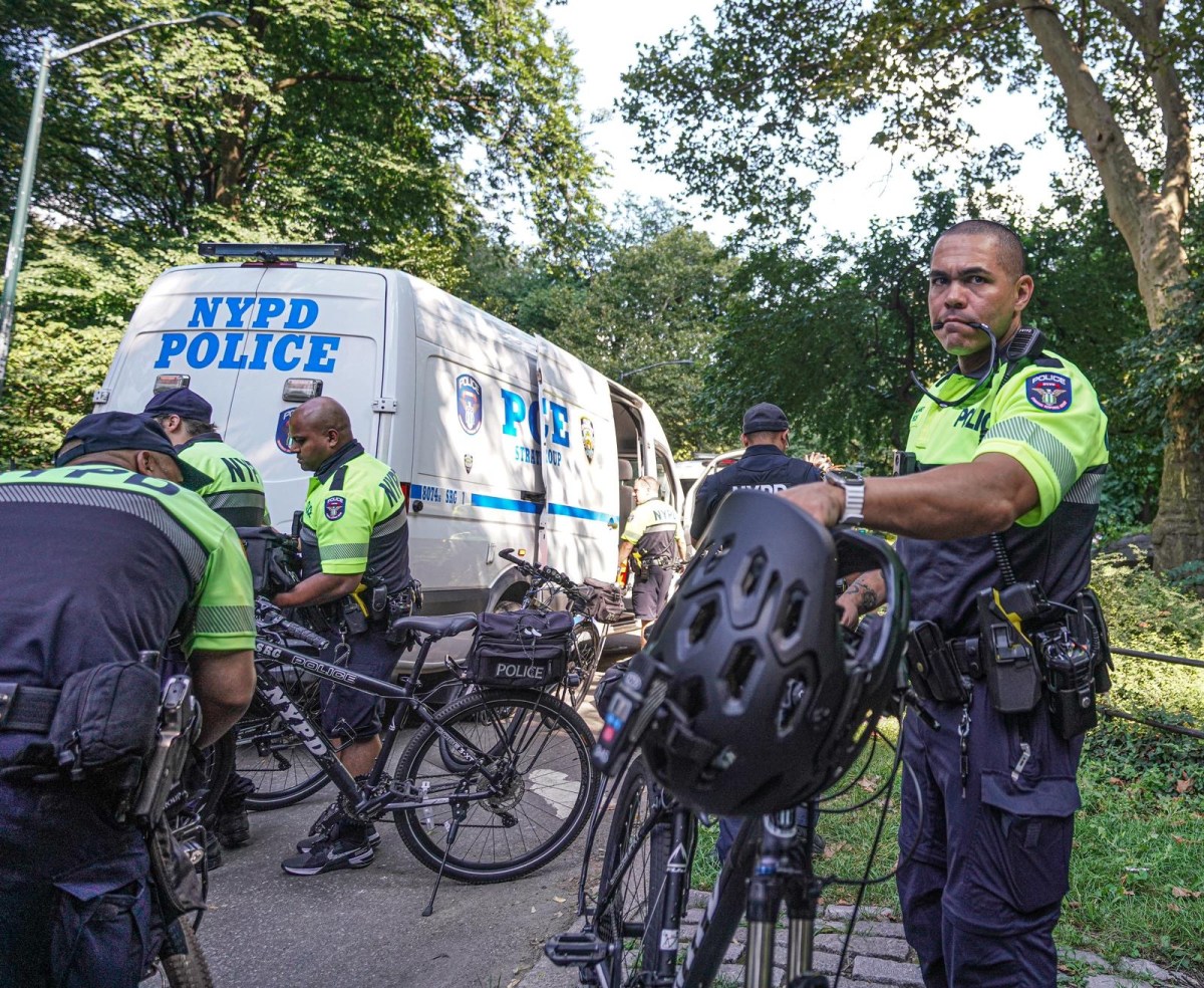 Full force: NYPD surges cops into Central Park amid rising crime 5