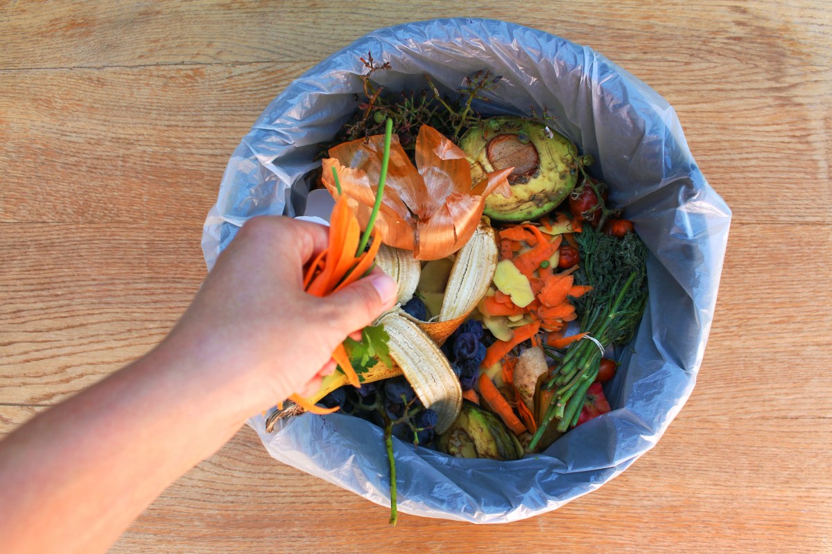 Mandatory composting in NYC is coming. Here's how you can get a free bin. 2 Bin for composting in NYC