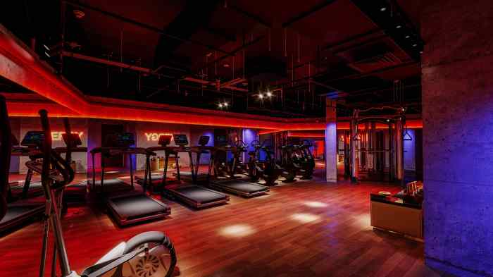 Affordable housing lottery at Staten Island's new 'Water's Edge' development offers studio apartments starting at $2,395 a month 3 rendering of gym showing treadmills and other equipment inside affordable housing building