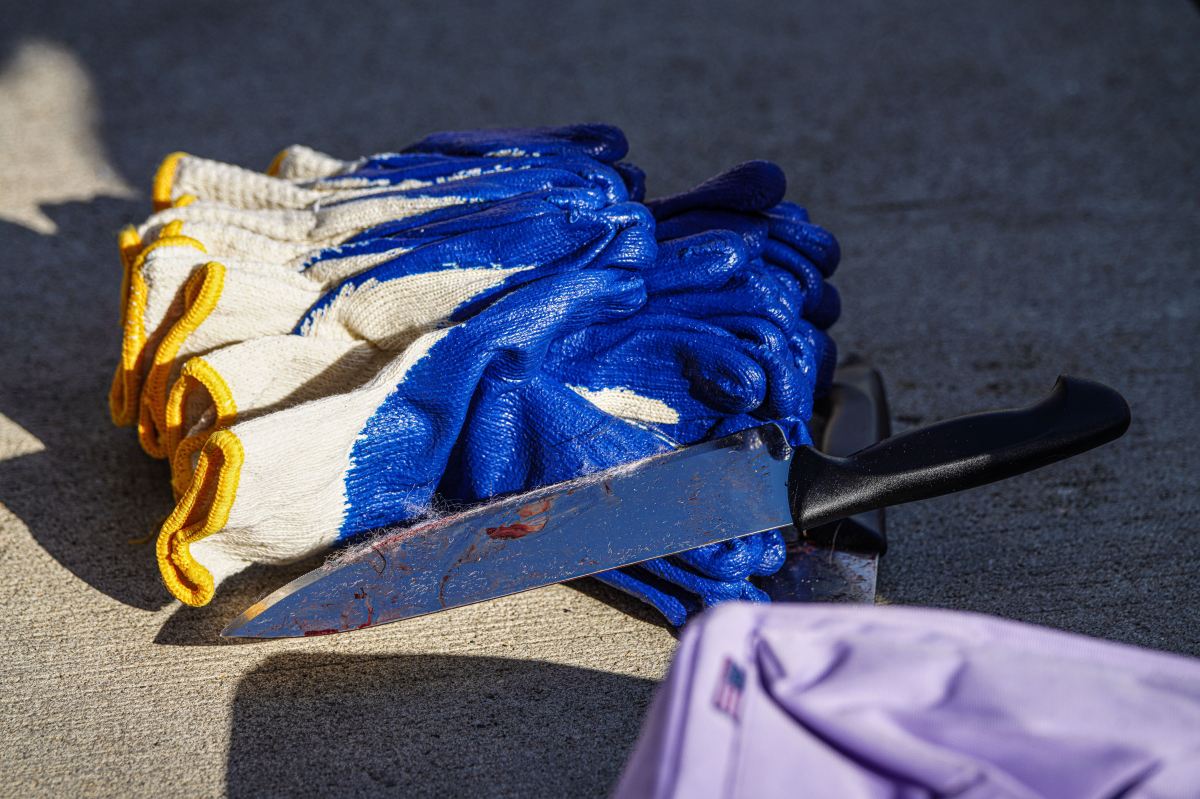 Manhattan stabbing spree: More grim details of rampage emerge as suspected killer arraigned on first-degree murder 3