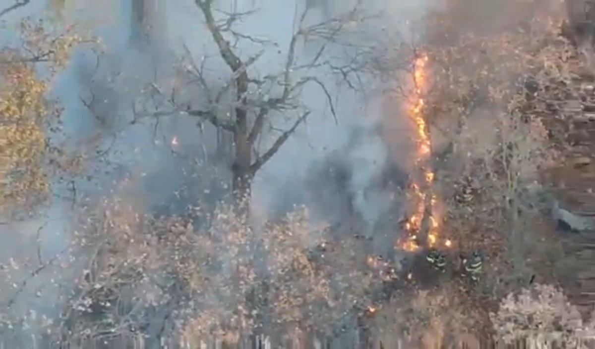 NYPD says its drones have transformed crime-fighting and saving lives over last two years 4