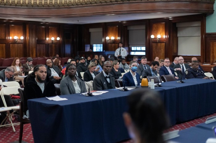 Tense council hearing examines NYPD's use of stop-and-frisk amid reform efforts 2 A panel of witnesses spoke to the city council committee.