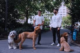 A furry paradise! Happy Tails, NYC’s first members-only dog club, expands to Tribeca 38 Furry friend fun! Happy Tails opens new doggy day care in Tribeca.