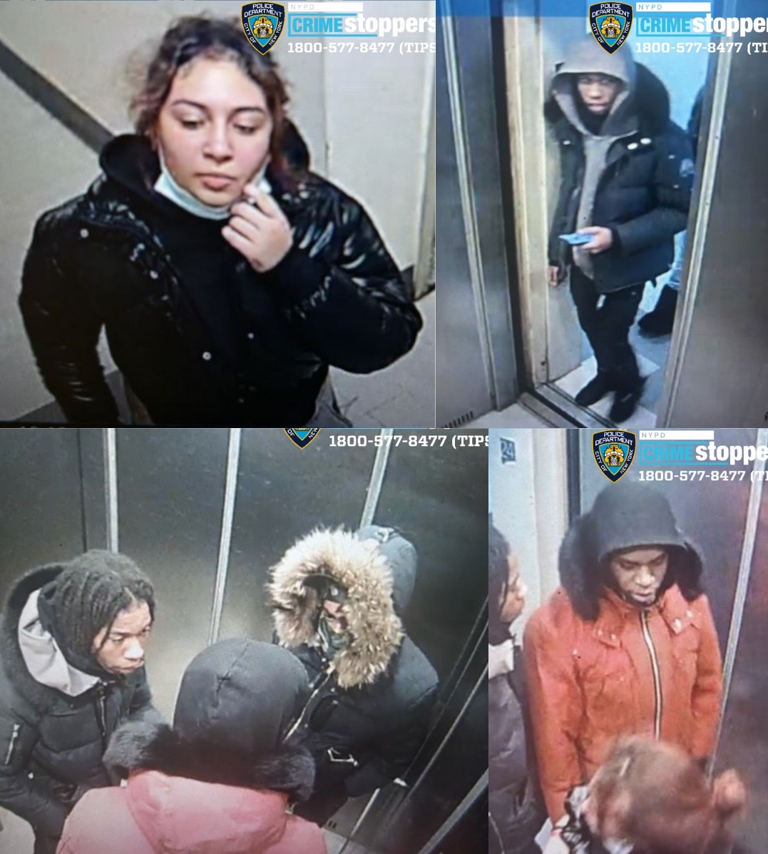 Bronx shooting and robbery suspects