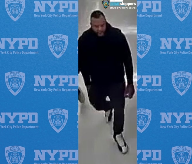 Bronx rapist sexually assaulted 19-year-old woman in his car: cops 2 Bronx rapist who attacked young woman