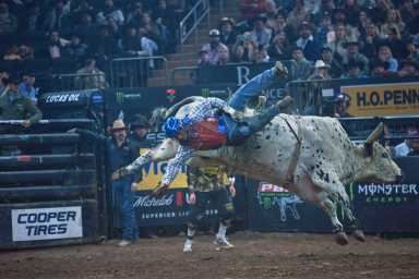 Record-setting PBR Unleash The Beast Rodeo thrills crowds in Madison Square Garden 28 PBR Unleash the Beast captivates rodeo lovers at MSG over the weekend.