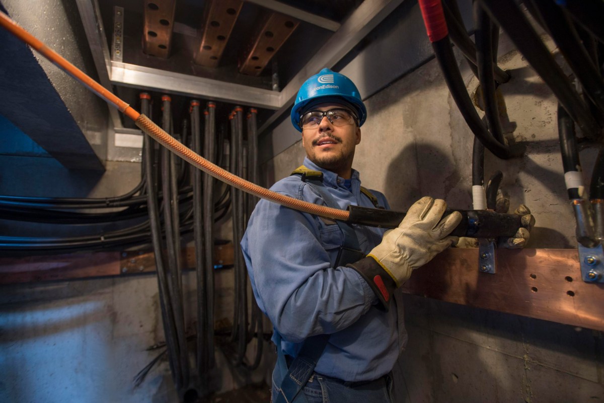 Con Edison Energy Efficiency Project Transforms Bronx Zoo: Big Savings, Better Service 5 con edison