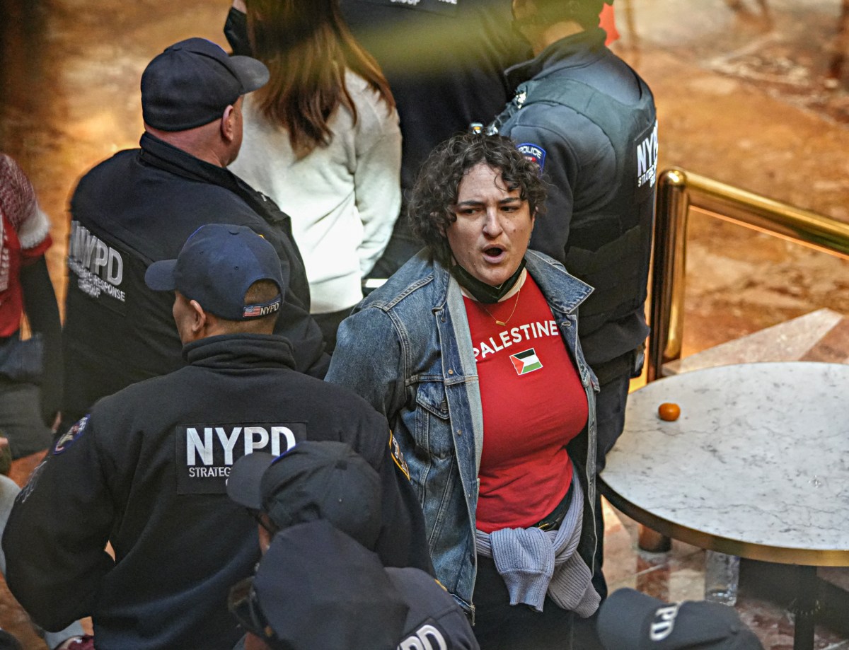 Nearly 100 arrested after pro-Palestine protesters take over Trump Tower in support of Mahmoud Khalil 5
