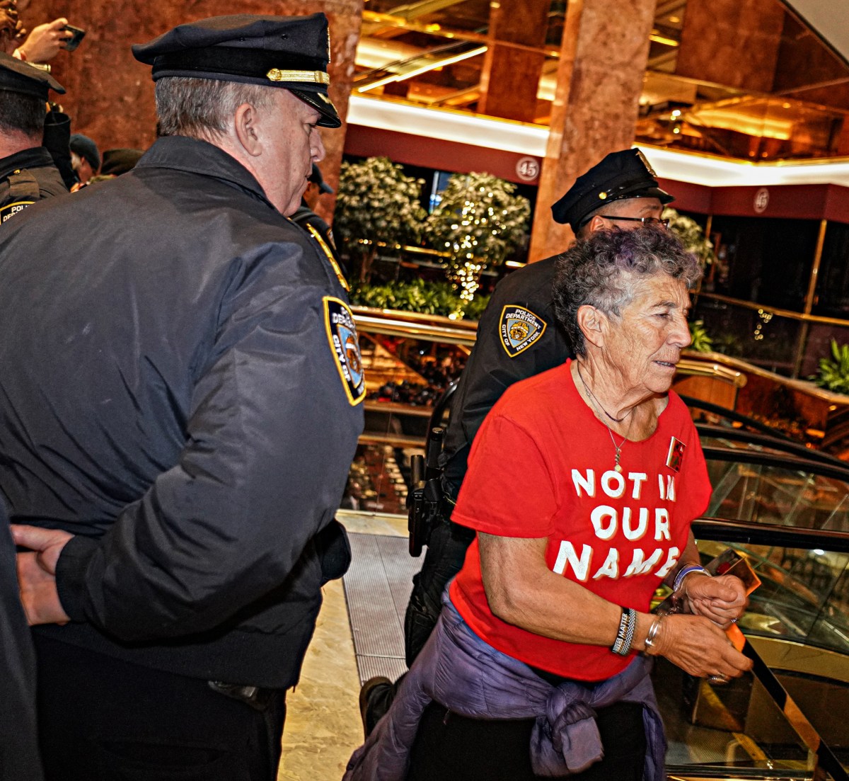 Nearly 100 arrested after pro-Palestine protesters take over Trump Tower in support of Mahmoud Khalil 8