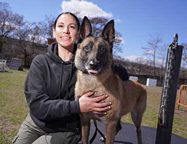 Women's History Month: Meet Christina Orlando, the NYPD's first ESU female K9 trainer 14 DSC09054