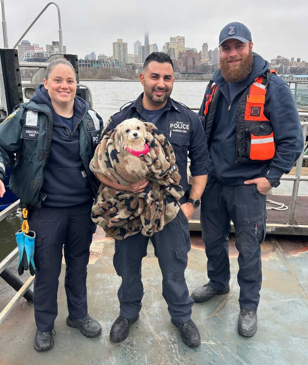 NYPD Harbor Unit members who rescued dog from East River