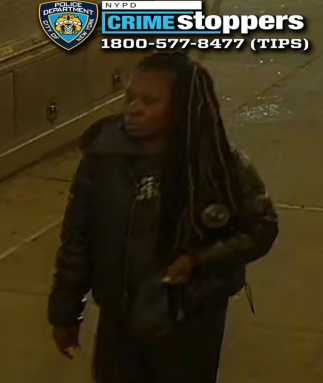 Chelsea purse-snatcher who assaulted woman