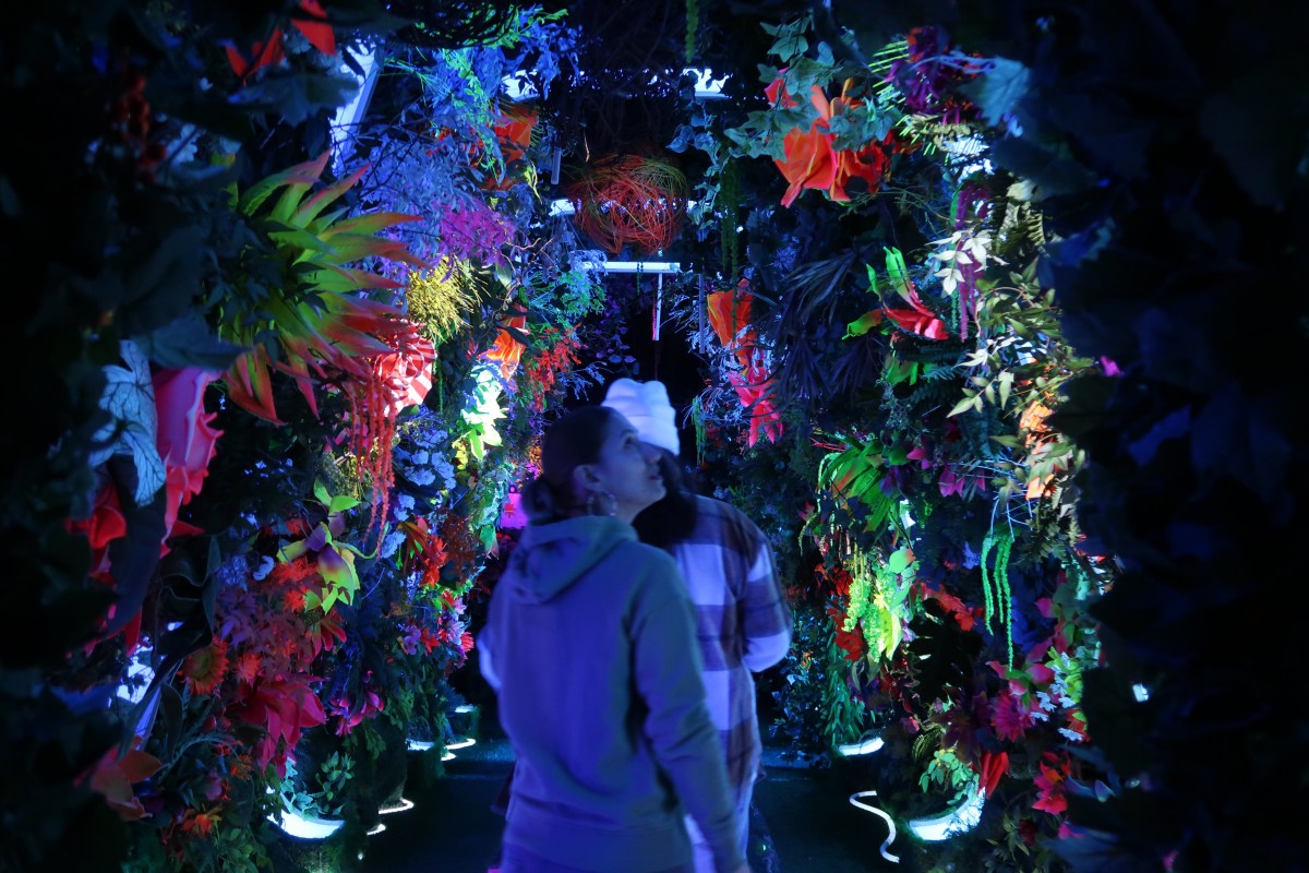 New INTER exhibit lets you explore space through imagination in Soho 6