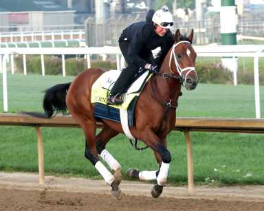 Kentucky Derby morning line favorite Journalism galloping over the Churchill Downs main track.