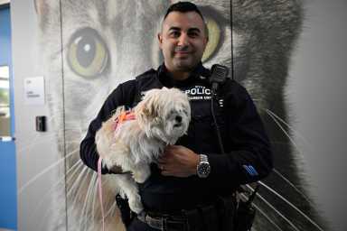 Hero officer with dog adopted after East River rescue