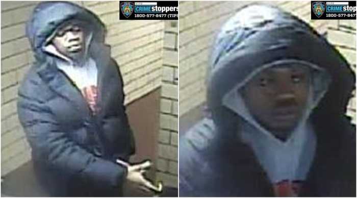 Gunman opens fire inside NYCHA lobby in Brooklyn, injures man: NYPD 4 Police released this image of the suspect wanted in connection with a May 22 shooting inside the Albany Houses in Crown Heights.