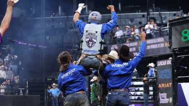 The New York Mavericks bull riding team is returning to New York this fall.