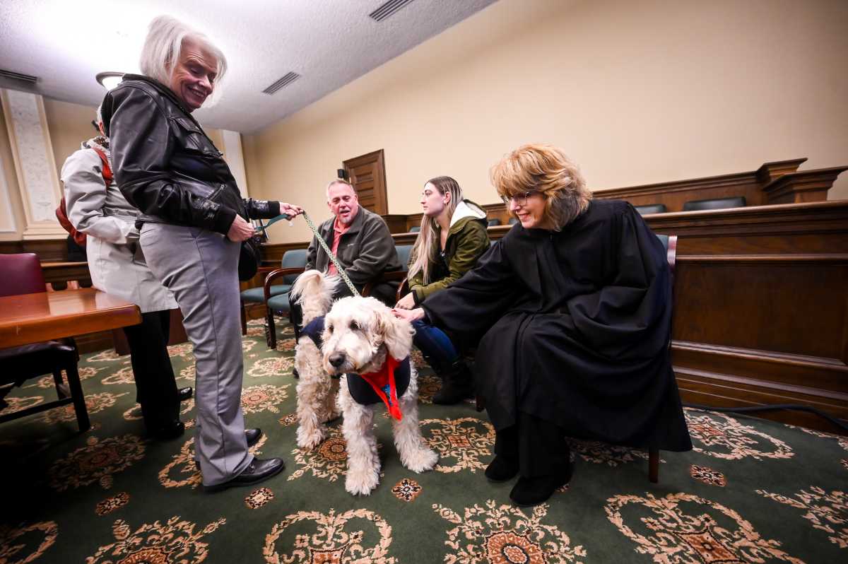 Top problem-solving Judge Debra Young is fine-tuning the courts’ restorative practices 1 Court Canines
