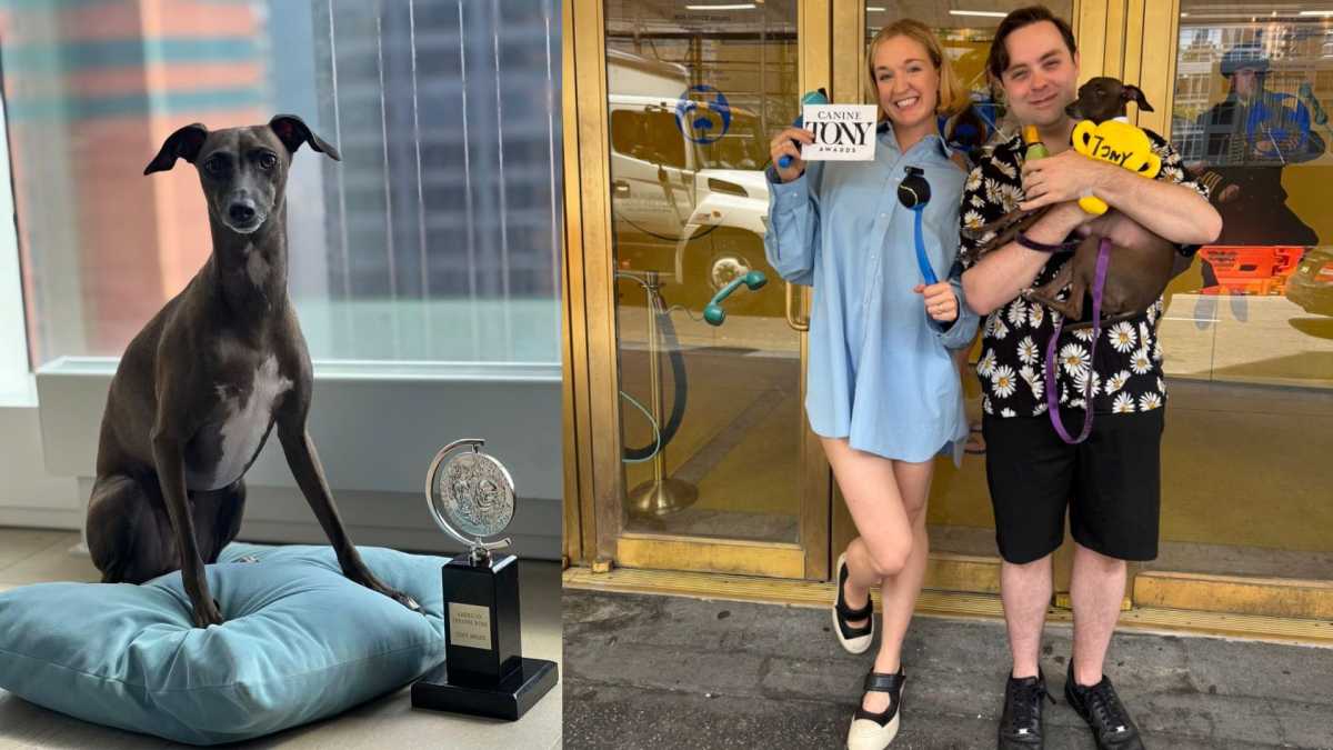 Dracula (left) was the first dog to get a thank you in an acceptance speech at the Tony Awards.