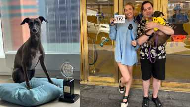 Dracula (left) was the first dog to get a thank you in an acceptance speech at the Tony Awards.