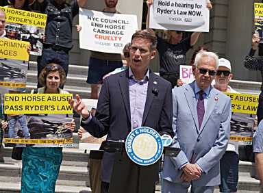 group of people holding signs on building steps in support of Ryder's Law