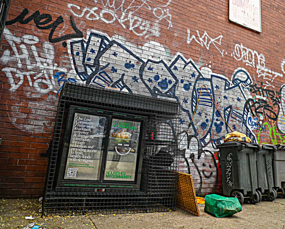 The vanishing of Lower Manhattan’s community fridges: Where are they now and how has their absence affected the homeless? 4