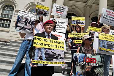 group of people holding signs on steps of a building