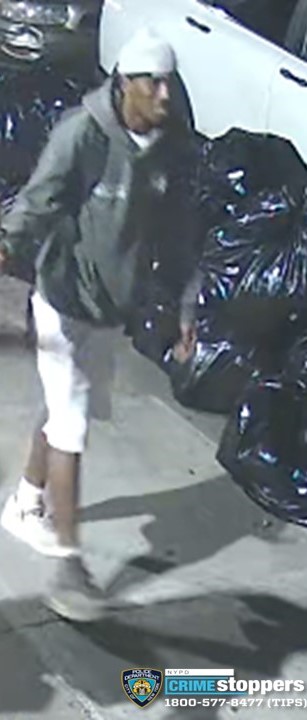 15-year-old Bronx girl raped inside her home: cops 2