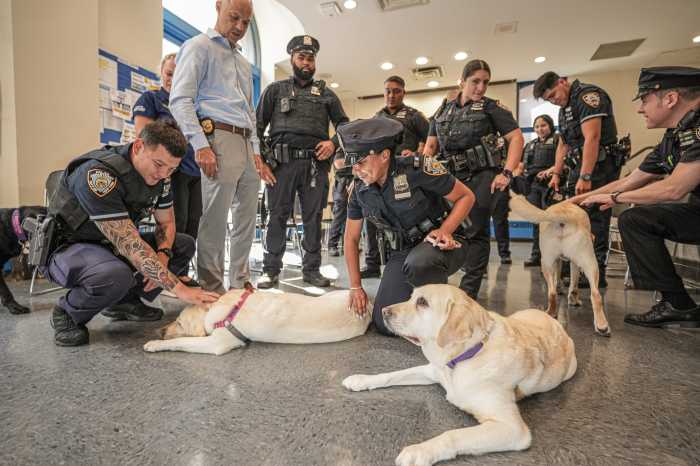 Midtown Mass Shooting: How the NYPD is using therapy dogs to help cops recover from traumatic experience 8 police officers play with therapy dogs in wake of midtown mass shooting