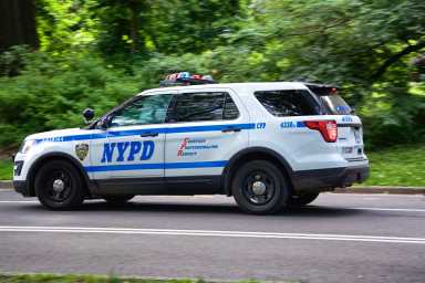 Man arrested after choking, biting victims in random Central Park attacks: NYPD 25 David Luciano, 27, was arrested after police said he attacked two men in Central Park in the early hours of Monday morning.