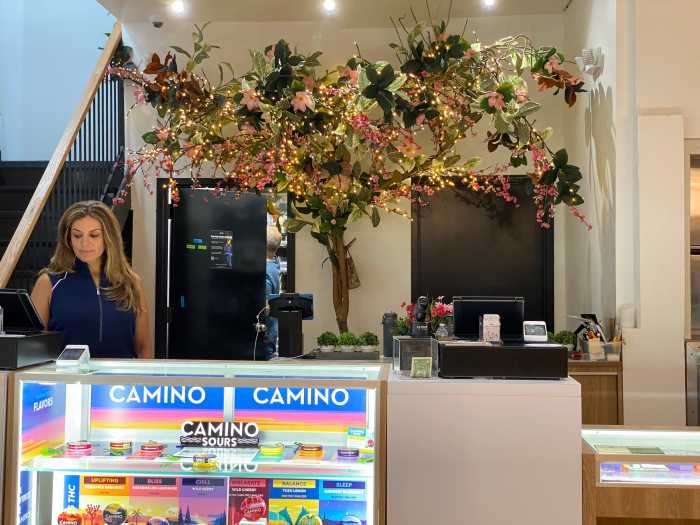 Family-run Tribeca dispensary among 89 NYC shops in limbo after cannabis law misstep; Hochul vows no closures amid scramble for legislative fix 4 Stephanie Savocchi, co-founder of Alto dispensary, works behind the counter at the family-run cannabis shop in Tribeca on Aug. 1. The business is among dozens statewide impacted by a state zoning miscalculation now under legislative review.