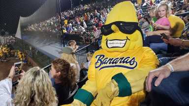 The Bronx Goes Bananas: Iconic Savannah Bananas hit Yankee Stadium this September 44 Savannah Bananas